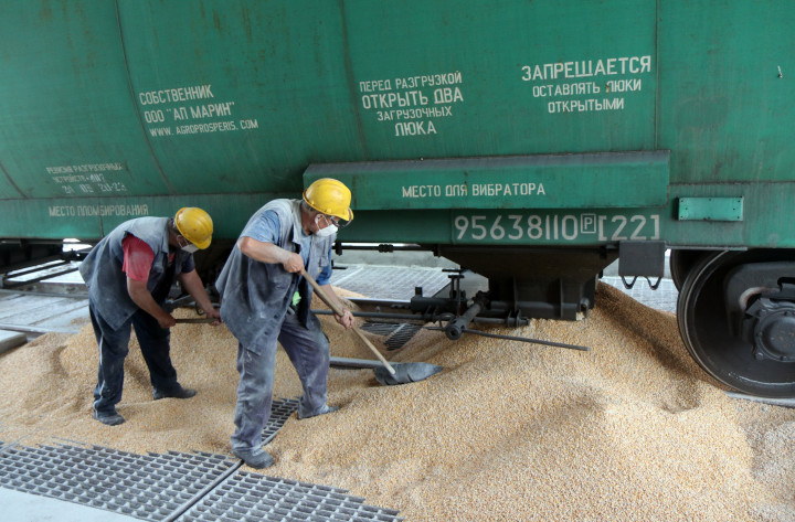 54910 - Corn kernels Ukraine